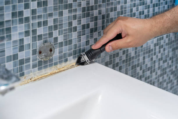 Best Post-Flood Mold Remediation in Lenoir, NC